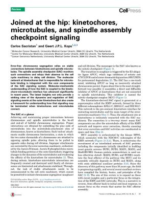 Kinetochores, Microtubules, and Spindle Assembly Checkpoint