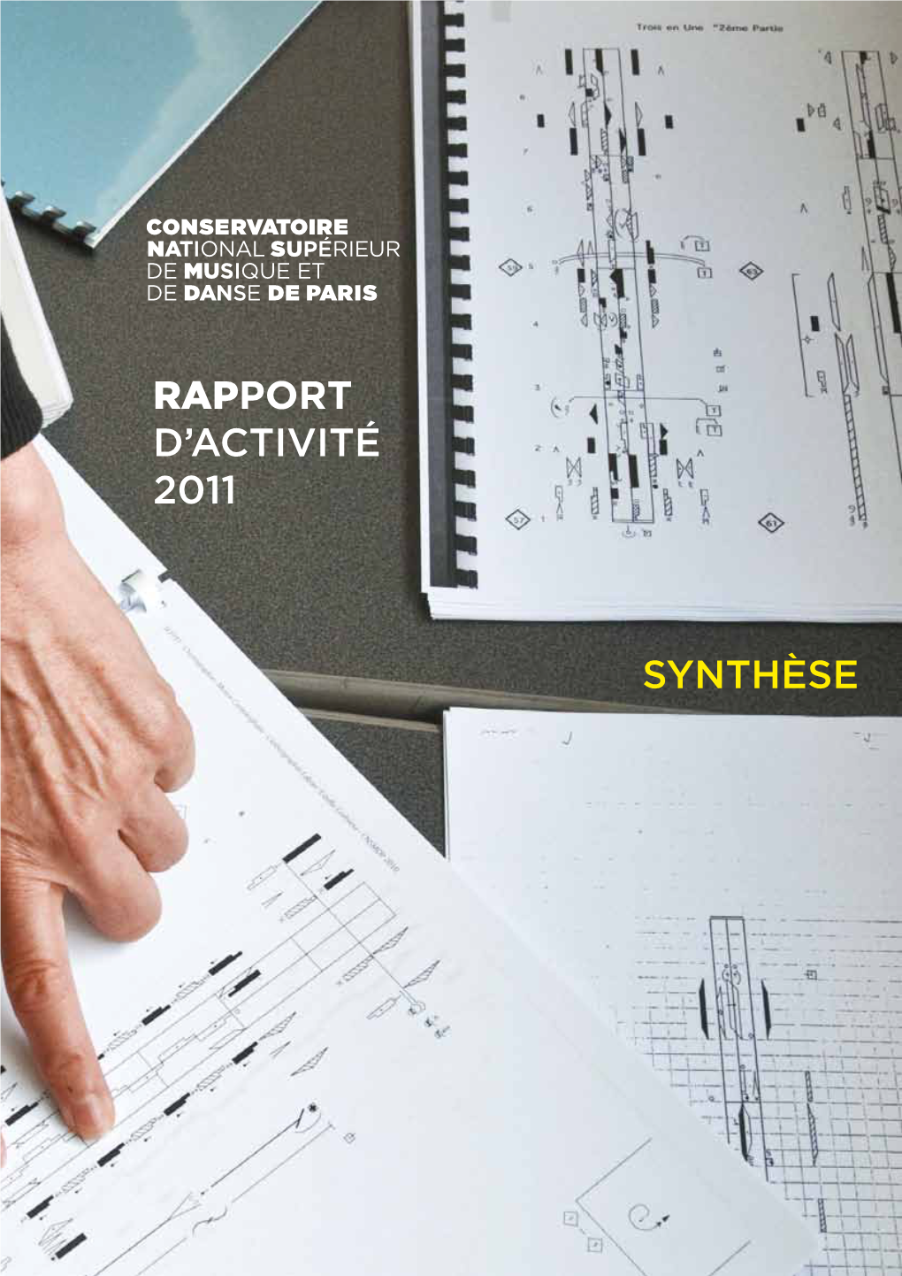 Synthèse 2011