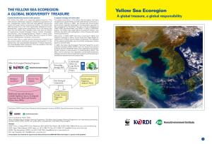 The Yellow Sea Ecoregion: a Global Biodiversity Treasure