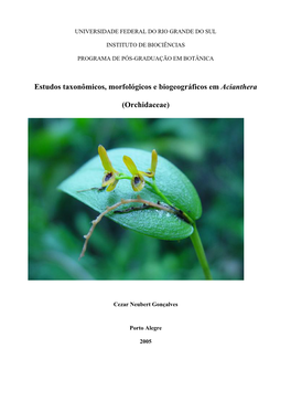 Estudos Taxonômicos, Morfológicos E Biogeográficos Em Acianthera