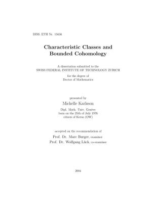 Characteristic Classes and Bounded Cohomology
