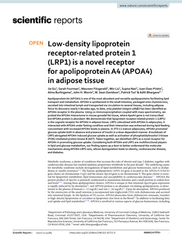 Low-Density Lipoprotein Receptor-Related Protein 1 (LRP1) Is