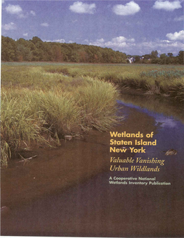 Wetlands of Staten Island, New York: Valuable Vanishing Urban Wildlands