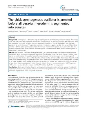 The Chick Somitogenesis Oscillator Is Arrested Before All Paraxial