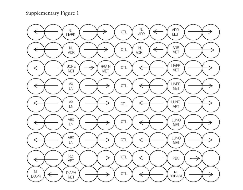 Supplementary Data