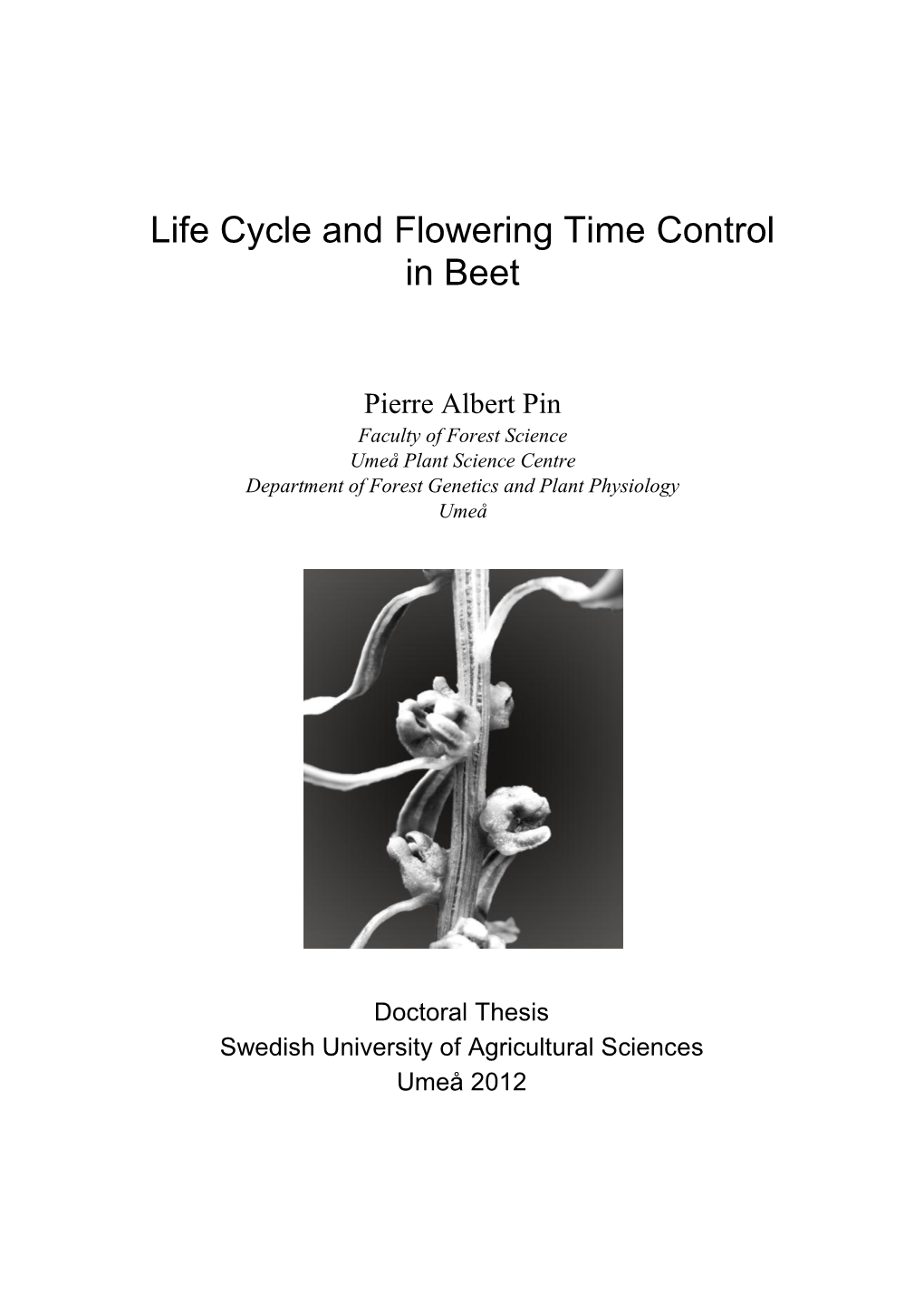 Life Cycle and Flowering Time Control in Beet