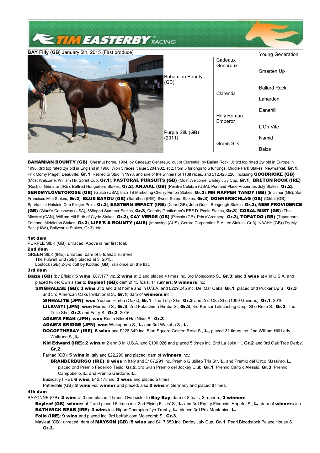 Bay Filly (IRE) – February 4Th, 2008