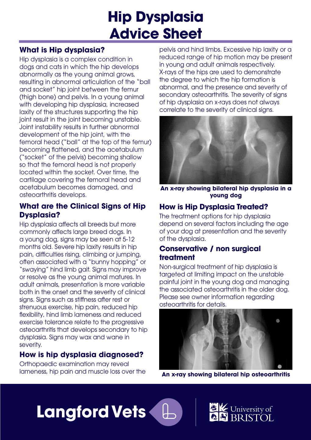 Hip Dysplasia Advice Sheet What Is Hip Dysplasia? Pelvis and Hind Limbs