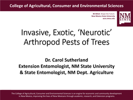 Invasive, Exotic, 'Neurotic' Arthropod Pests of Trees
