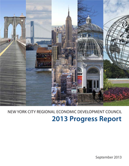 2013 Progress Report
