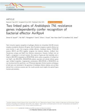 Two Linked Pairs of Arabidopsis TNL Resistance Genes Independently Confer Recognition of Bacterial Effector Avrrps4