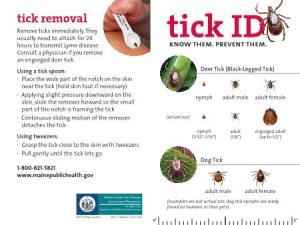 Tick ID Card