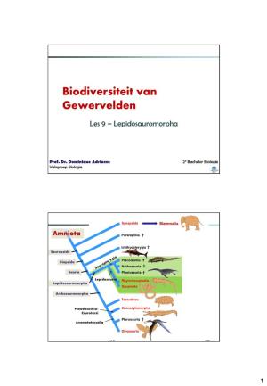 Biologie II: Biodiversiteit En Evolutie