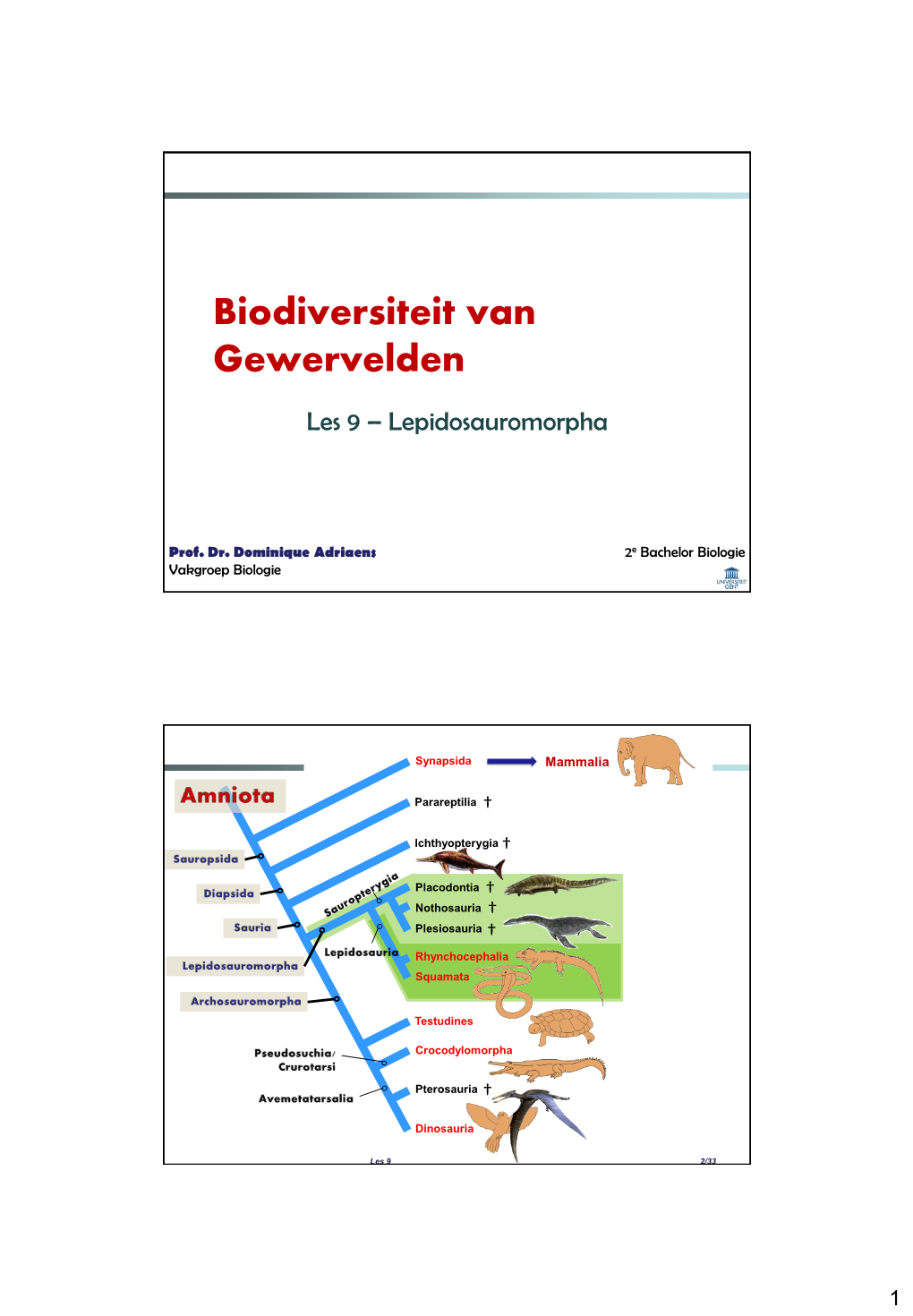 Biologie II: Biodiversiteit En Evolutie