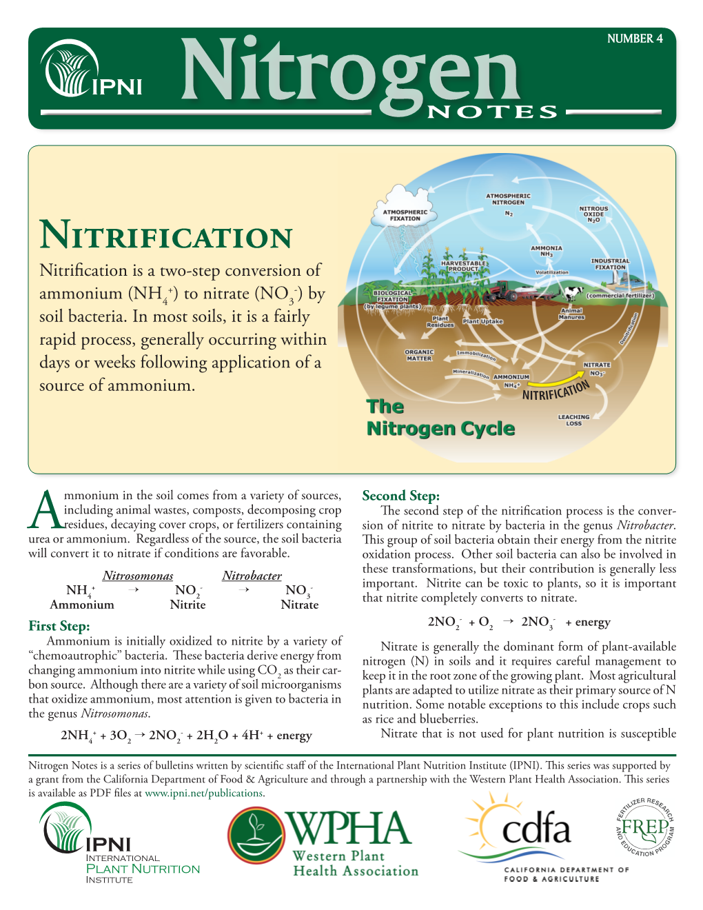 Nitrification Nitrification Is a Two-Step Conversion of + - Ammonium (NH4 ) to Nitrate (NO3 ) by Soil Bacteria