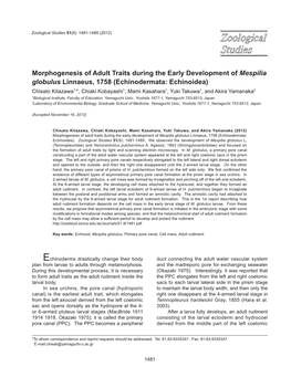 Morphogenesis of Adult Traits During the Early Development of Mespilia