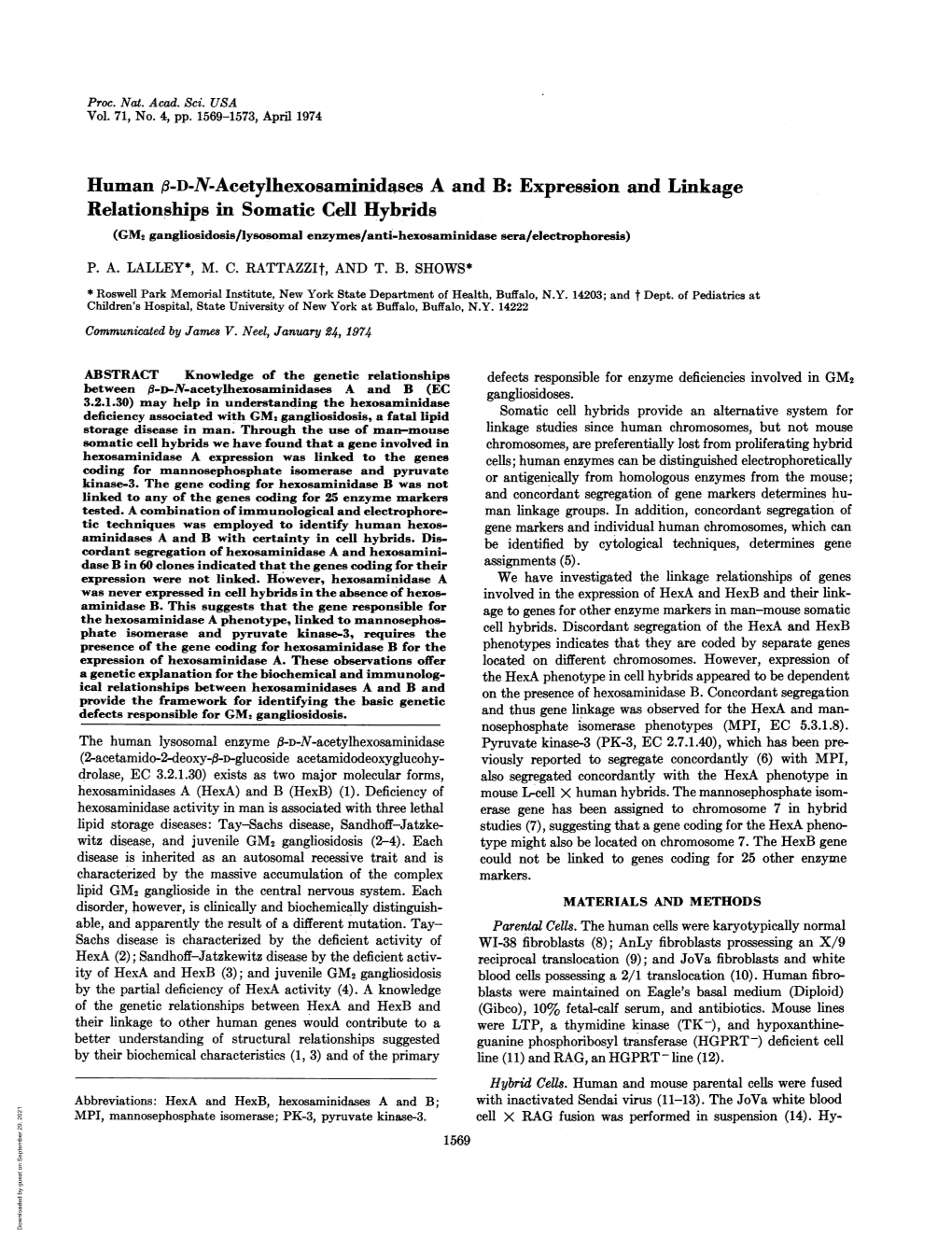 Expression and Linkage Relationships in Somatic Cell Hybrids (GM2 Gangliosidosis/Lysosomal Enzymes/Anti-Hexosaminidase Sera/Electrophoresis)