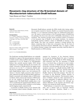 Hexameric Ring Structure of the N-Terminal Domain of Mycobacterium Tuberculosis Dnab Helicase Tapan Biswas and Oleg V