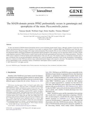 The MADS-Domain Protein PPM2 Preferentially Occurs in Gametangia