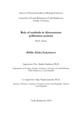 Role of Sunbirds in Afromontane Pollination Systems