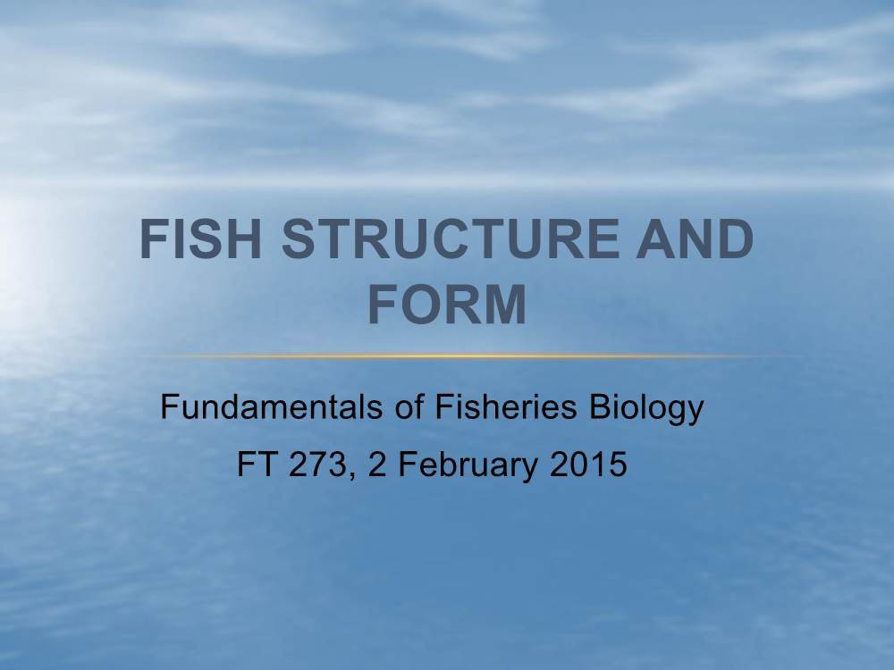 Fish Anatomy Lecture