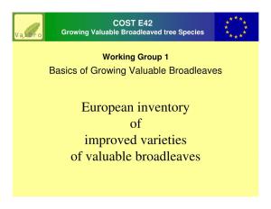 European Inventory of Improved Varieties of Valuable Broadleaves COST E42 Inventory of Improved Varieties