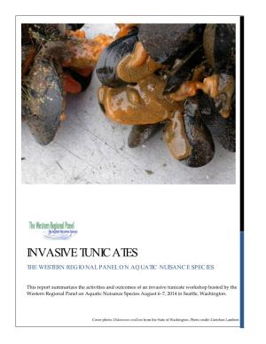 Invasive Tunicates the Western Regional Panel on Aquatic Nuisance Species
