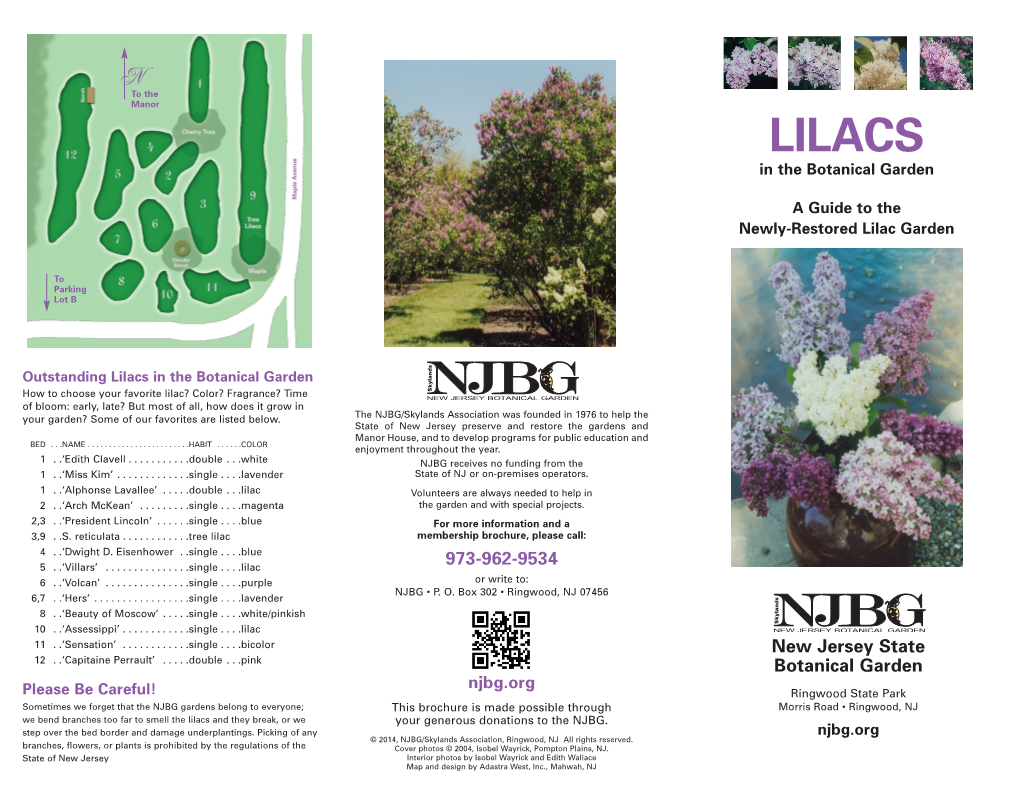 0804-NJBG-Lilac Broch-4C-01