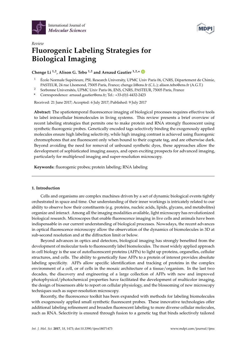 Fluorogenic Labeling Strategies for Biological Imaging