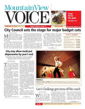 City Council Sets the Stage for Major Budget Cuts