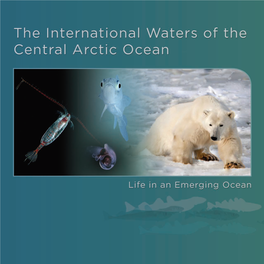 Life in an Emerging Ocean (PDF)