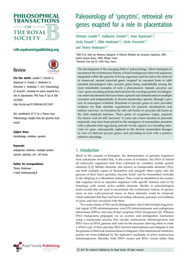 Paleovirology of 'Syncytins', Retroviral Env Genes Exapted for a Role in Placentation