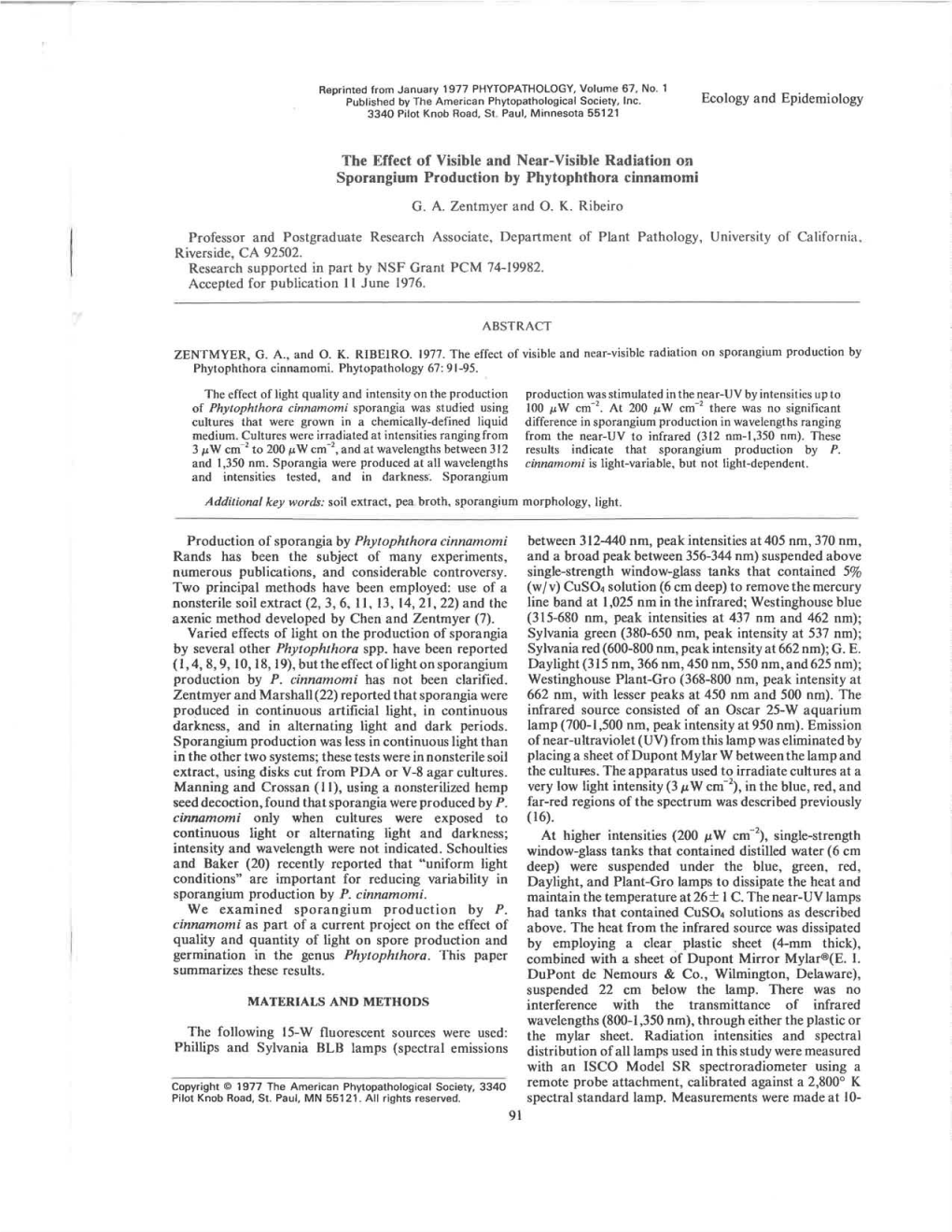 The Effect of Visible and Near-Visible Radiation on Sporangium Production by Phytophthora Cinnamomi