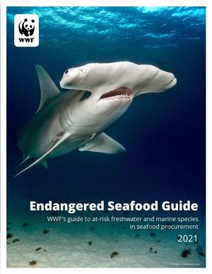 Endangered Marine Species Guide
