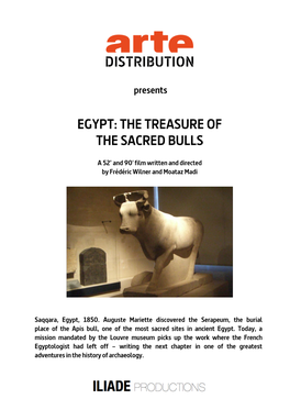 Egypt: the Treasure of the Sacred Bulls