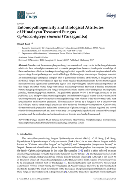 Entomopathogenicity and Biological Attributes of Himalayan Treasured Fungus Ophiocordyceps Sinensis (Yarsagumba)