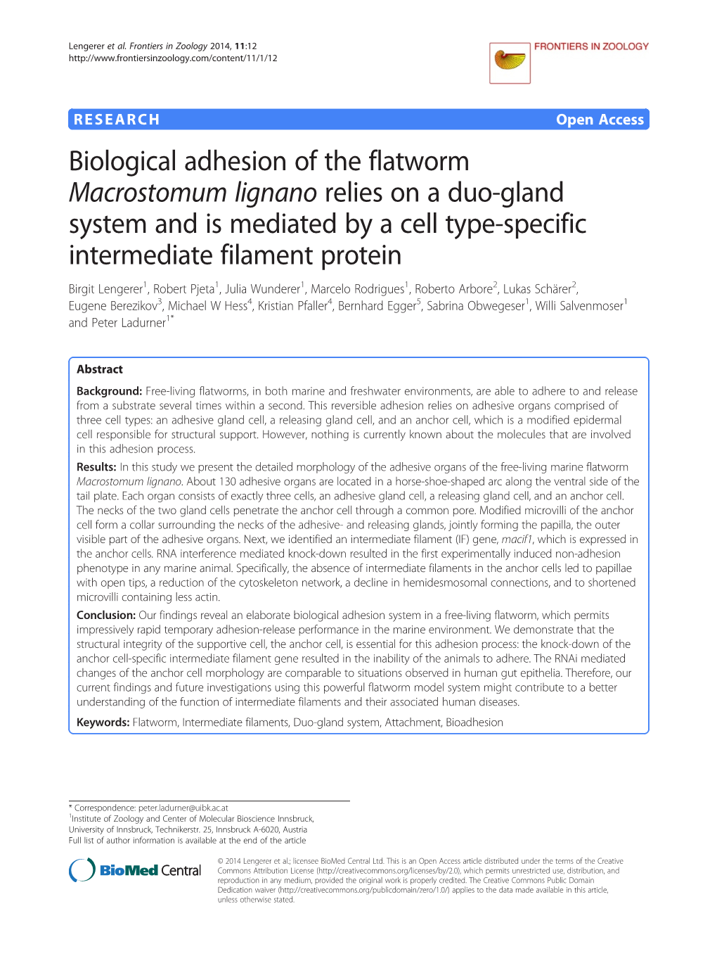 Biological Adhesion of the Flatworm Macrostomum Lignano Relies on A