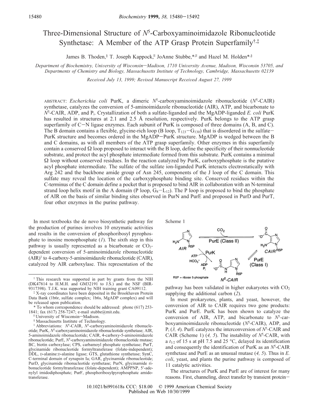 Three-Dimensional Structure of N5-Carboxyaminoimidazole Ribonucleotide Synthetase: a Member of the ATP Grasp Protein Superfamily†,‡