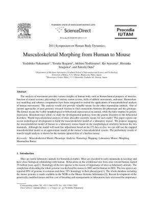 Musculoskeletal Morphing from Human to Mouse