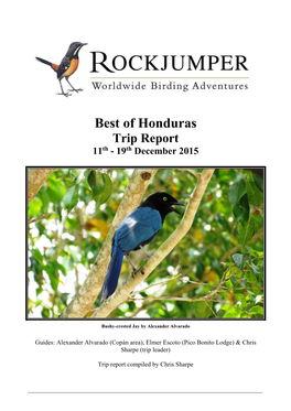 Best of Honduras Trip Report 11Th - 19Th December 2015