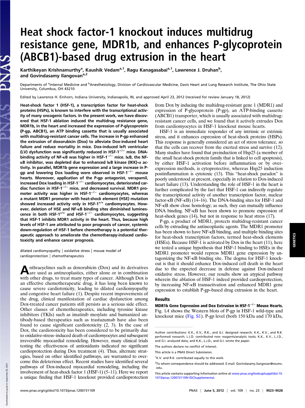 Heat Shock Factor-1 Knockout Induces Multidrug Resistance Gene, Mdr1b, and Enhances P-Glycoprotein (ABCB1)-Based Drug Extrusion in the Heart