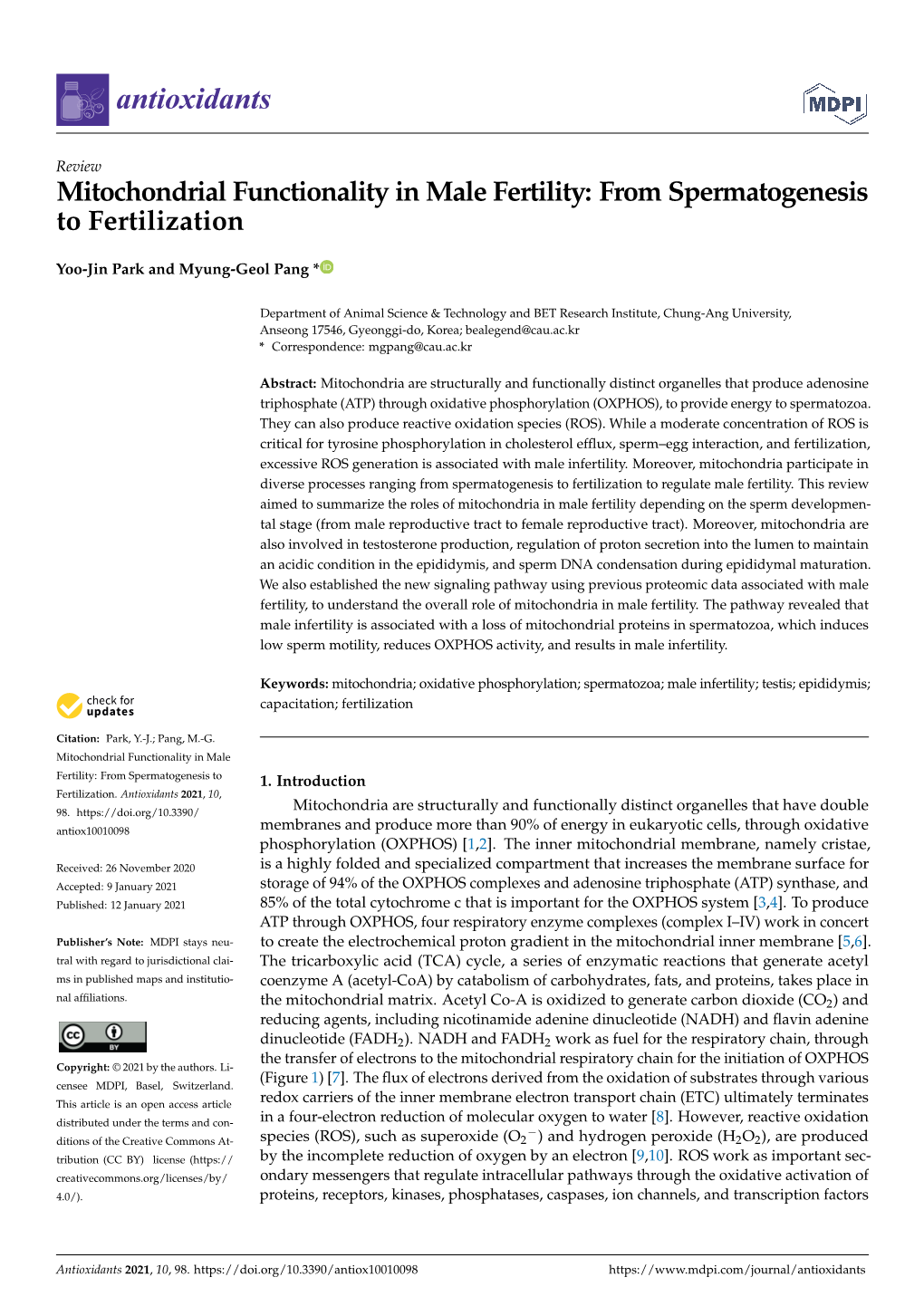 Mitochondrial Functionality in Male Fertility: from Spermatogenesis to Fertilization