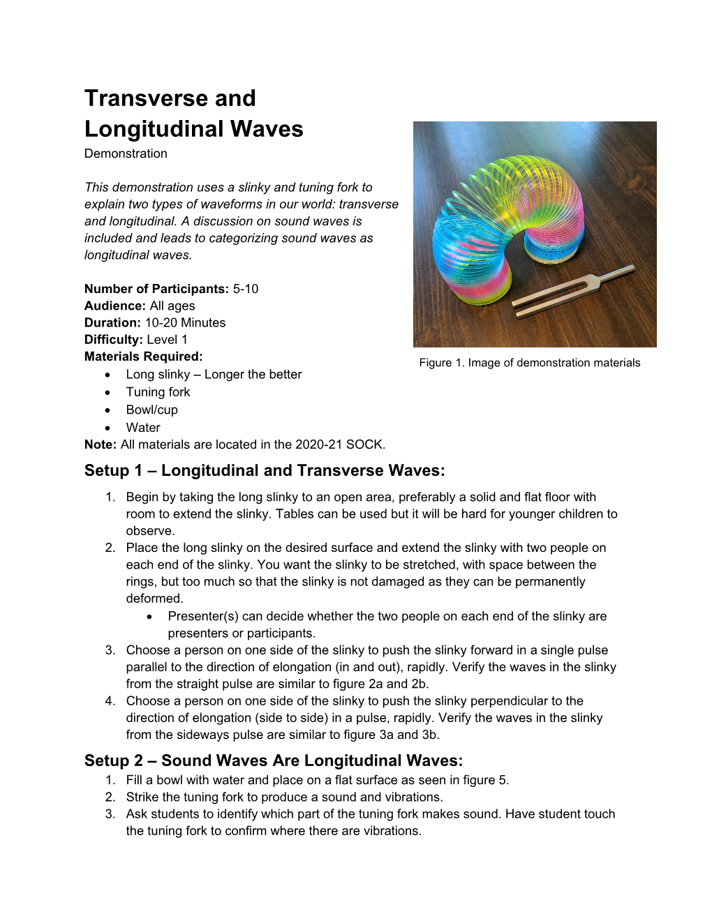 Transverse and Longitudinal Waves Demonstration