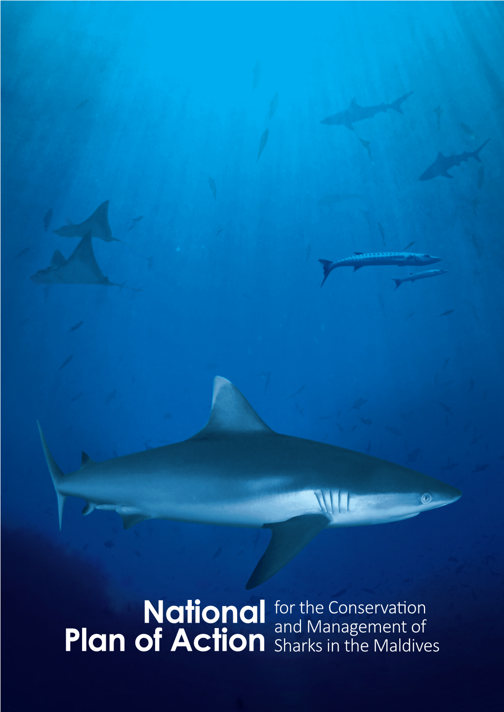 Shark Action Plan 2015 for the Maldives 8 August Pdf Document