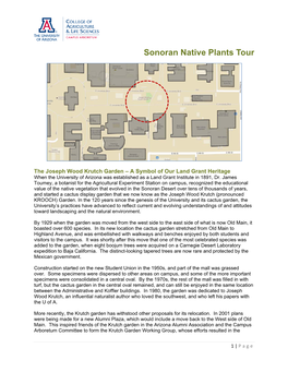 Sonoran Native Plants Tour