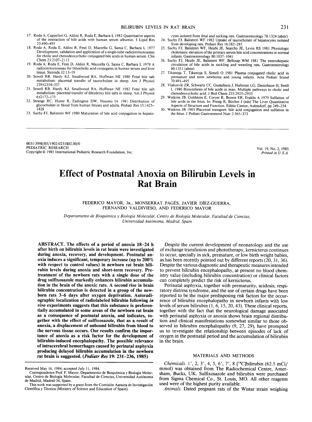 Effect of Postnatal Anoxia on Bilirubin Levels in Rat Brain