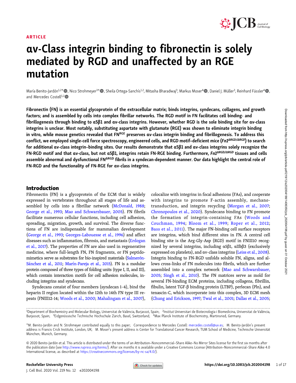 Αv-Class Integrin Binding to Fibronectin Is Solely Mediated by RGD and Unaffected by an RGE Mutation