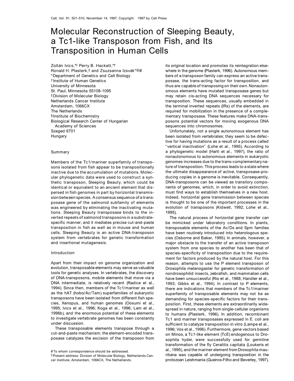 Molecular Reconstruction of Sleeping Beauty, a Tc1-Like Transposon from Fish, and Its Transposition in Human Cells