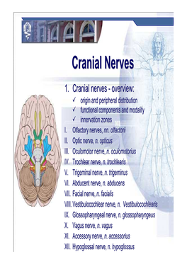 Cranial Nervesnerves