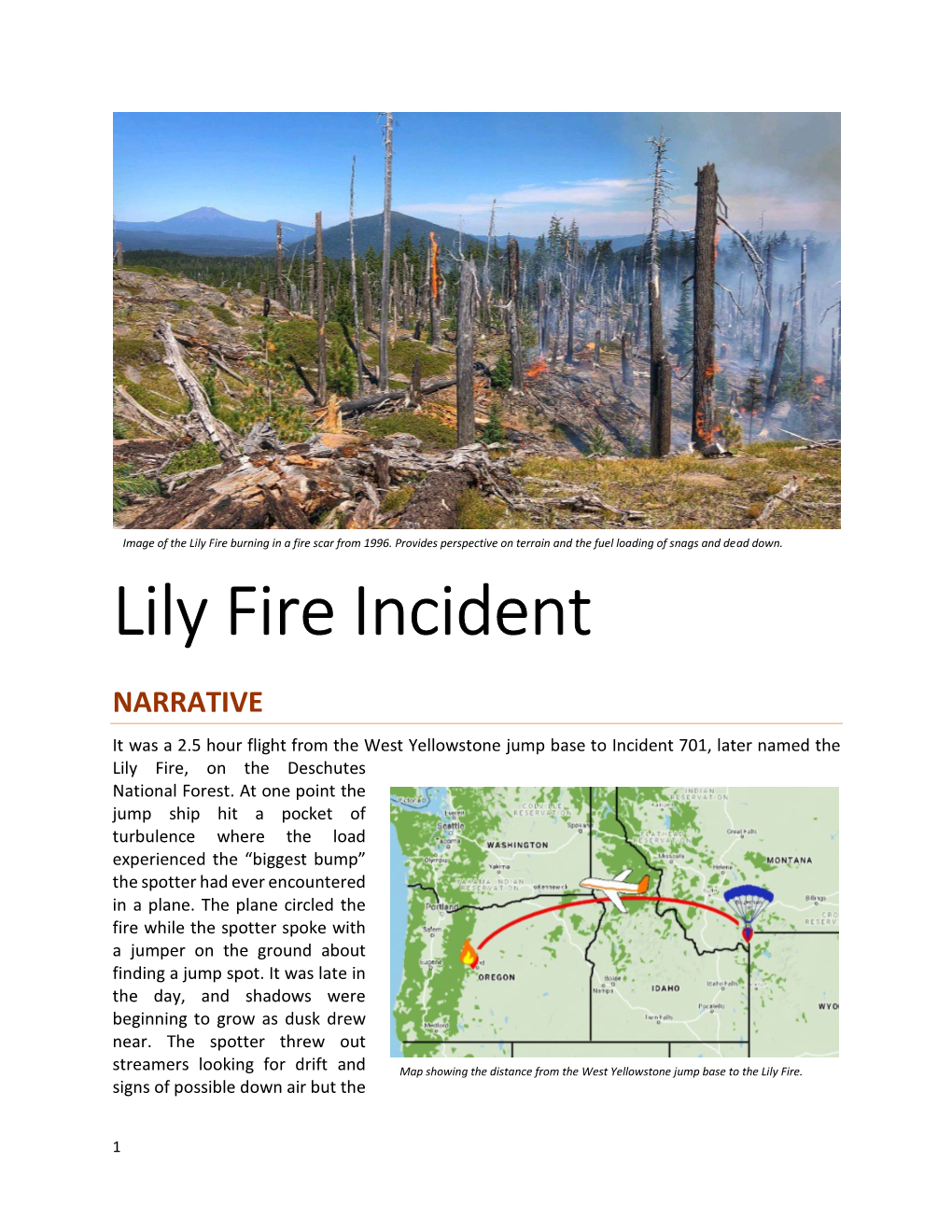 Lily Fire Incident